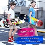 TTKD Skateboard 7 Schichten Decks 31x 8 Pro Komplettes Skateboard Ahornholz Longboards für Jugendliche Erwachsene Anfänger Mädchen Jungen Kinder Wettbewerbspreise