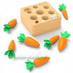 Coriver Lernspielzeug Stapelspiele für 1 2 3 Jahre altes Baby Karotten Holzspielzeug Montessori Plugging Toys Harvest Matching-Spiel für frühkindliches Lernen Vorschulerziehung Kindergeschenke