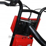 BEEPER Drift-Trike Elektro Kart Elektro Kind Rot 100W 12V 6 5Ah RDT100-R