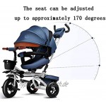 NUBAO Dreirad für Babys und Kinder 3 Räder sicherer Baldachin mit Griff Schiebepedal Farbe: Hellgrau Dreiräder für 1–3 Jahre