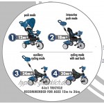 QPlay Rito Tricycle Comfort