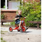 Unbekannt Viking Dreirad klein Alter: 2-4 Jahre Lenkerhöhe 51 cm Sitzhöhe 28 cm von Winther