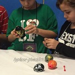 Smart Egg Data US Edition: 3D Labyrinth Puzzle und Lernspielzeug für Kinder Niveau 10 in Einer Brainteaser Serie Herausforderung und Spaß beim Lösen des Labyrinths im Ei