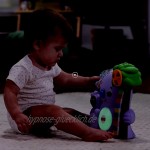 Fisher-Price GRG67 BlinkiLinkis Koala musikalisches Lernspielzeug für Babys und Kleinkinder ab 9 Monaten