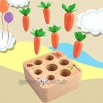 Fullove Vorschulbildung Karotenspielzeug für Kinder Von 1-3 Jahren Bestes Lernspielzeug
