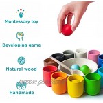 Ulanik Montessori Holzspielzeug Sortieren Lernspielzeug Bälle in Tassen 12 Bälle 35mm Alter 1 + Farbe Sortierung und Zählen Vorschule 2 Edition