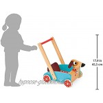 Janod J05995 „Crazy Doggy“ Lauflernhilfe aus Holz für Kinder für Kinder ab 1 Jahr mehrfarbig