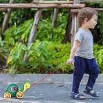 MOOKLIN ROAM Nachziehspielzeug für Kinder Bausteinen zum Stecken Aus Holz Auto mit Rad Push und Pull Spielzeug Nachziehspielzeug für Babys KleinkinderSchildkröte