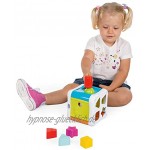 Chicco 00009686000000 Multicubo 2en1-Juegos de Puzzle encajables y contrucción para bebés Con formas 2 IN 1 SORTIER & SCHLAGWÜRFEL Mehrfarbig