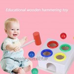 Hztyyier Hämmern und Stampfen mit Schlägel und 4 Ball Entwicklungsspielzeug für Babys Kinder Kleinkinder über 9 Monate