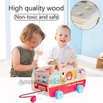 Vanplay Klopfbank Holz Hammerspiel für Kinder ab 2 Jahre 3 in 1 Ziehen Entlang Bus Spielzeug Hämmerchenspiel Holzspielzeug für Mädchen Junge