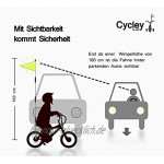 Cycley | Fahrradwimpel | Fahrradfahne für Kinderfahrrad | Pink Reflektierend | 4-teilig | Wimpellänge 160 cm | z.B. Sicherheitswimpel für Laufrad … Lila Pink