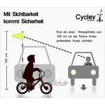 Cycley | Fahrradwimpel | Fahrradfahne für Kinderfahrrad | verschiedene Farben | 4-teilig | Wimpel Länge 160 cm | z.B. Sicherheitswimpel fürLaufrad pink