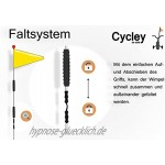 Cycley | Fahrradwimpel | Fahrradfahne für Kinderfahrrad | verschiedene Farben | 4-teilig | Wimpel Länge 160 cm | z.B. Sicherheitswimpel fürLaufrad pink