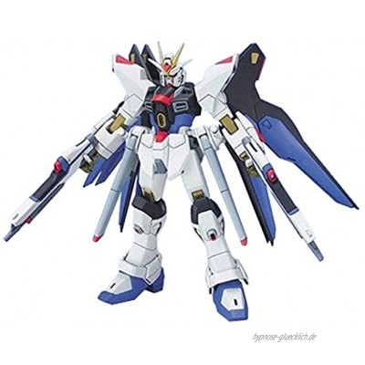 ZGMF-X20A Gundam Freedom Striker GUNPLA HG High Grade Gundam Seed 1 144