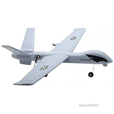 Senmubery Z51 Predator 660 mm Flügelspannweite 2,4 G 2 CH Glider RC Flugzeug RTF eingebaut DIY US