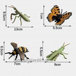8 Stück Modell aus Insektenplastik Insekten für Kinder Tiersammlung Insekten Kunststoff Geeignet für Geburtstagsgeschenke für Kinder Helfen Natürliche Kreaturen zu Verstehen 8 Stile