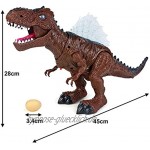jerryvon Dinosaurier Spielzeug mit Wandelnder Brüllender Tyrannosaurus Rex Leuchtender Dinosaurier Kinderspiele Ei Legen Dino Spielzeug Jungen Geschenke für Kinder ab 3 4 5 Jahre