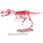 moses. 70000 Cooles Leuchtskelett zum Ausgraben I Nachtleuchtendes T-Rex Skelett zum Zusammenstecken in Rot I Ausgrabungsset für Kinder