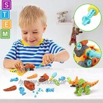 STAY GENT Zerlegen Dinosaurier Spielzeug für Kinder 4 Packungen Dinosaurier Konstruktionsspielzeug mit Schraubendrehern STEM Lerngeschenke für 3-7 Jahre alte Jungen und Mädchen