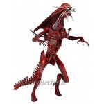 siyushop Aliens Ultra-Deluxe Boxed Genocide Red Queen Action-Figur