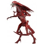 siyushop Aliens Ultra-Deluxe Boxed Genocide Red Queen Action-Figur
